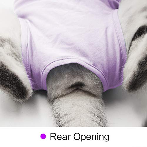 Dotoner Gatos Traje de recuperación Profesional para heridas Abdominales o Enfermedades de la Piel Alternativo para Gatos y Perros después de la cirugía Ropa para el hogar(Morado,l)