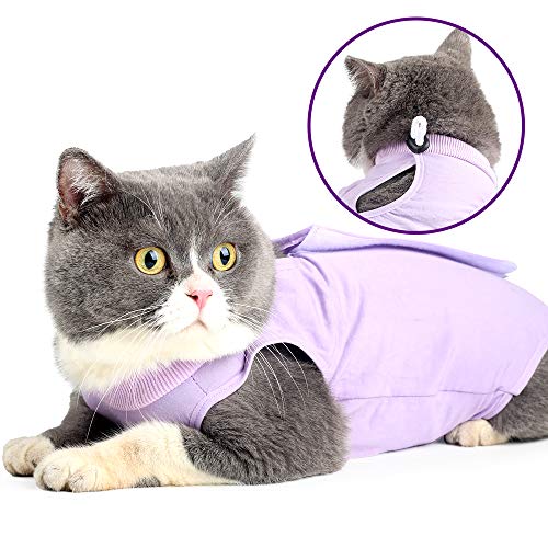 Dotoner Gatos Traje de recuperación Profesional para heridas Abdominales o Enfermedades de la Piel Alternativo para Gatos y Perros después de la cirugía Ropa para el hogar(Morado,l)