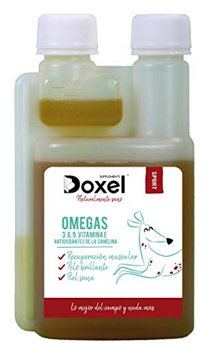 Doxel Sport -250ml Aceite para Perros | Suplementos Naturales nutricionales | Antioxidantes| Recuperación Muscular| Articulaciones sanas |Sistema inmunitario Reforzado| Canicross| Agility| Mushing