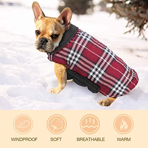 Ducomi Royal Abrigo Perro Reversible con Estampado Escocés - Chaqueta Acolchada y Impermeable de un Lado, Cálido y Suave Pilas Desde el Otro, Pequeño y Mediano Tamaño