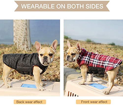 Ducomi Royal Abrigo Perro Reversible con Estampado Escocés - Chaqueta Acolchada y Impermeable de un Lado, Cálido y Suave Pilas Desde el Otro, Pequeño y Mediano Tamaño