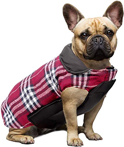 Ducomi Royal Abrigo Perro Reversible con Estampado Escocés - Chaqueta Acolchada y Impermeable de un Lado, Cálido y Suave Pilas Desde el Otro, Pequeño y Mediano Tamaño