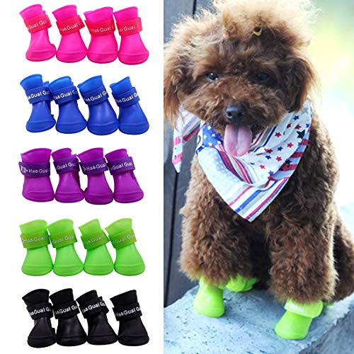 Ducomi Zampette - Zapatillas Impermeables para Perros - Cómodas y Fáciles de Poner - Protegen Las Patas de tu Mascota - Reducen el Riesgo de Infecciones en Caso de Heridas (S, Morado)