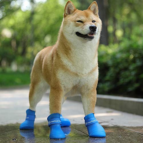 Ducomi Zampette - Zapatillas Impermeables para Perros - Cómodas y Fáciles de Poner - Protegen Las Patas de tu Mascota - Reducen el Riesgo de Infecciones en Caso de Heridas (S, Morado)