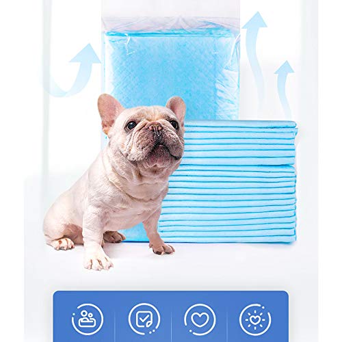 DZL- Empapadores de adiestramiento para Perros, Almohadillas de Entrenamiento Almohadillas de Entrenamiento para Cachorros Súper Absorbentes (L 60 * 60-20PC)