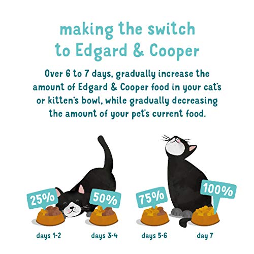 Edgard & Cooper Comida humeda Gatos Senior sin Cereales, Natural con Pollo y Salmón Frescos. Comida Sana Rica en nutrientes y antioxidantes Naturales. Pack tarrinas de 19x85gr