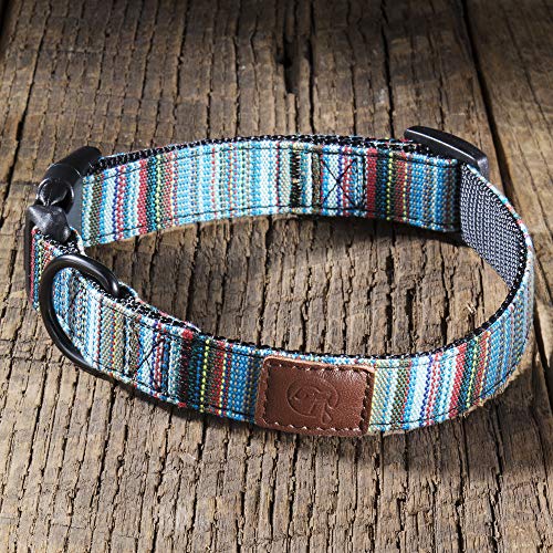 Embark Urban - Collar para perro - Collares para perros medianos y grandes