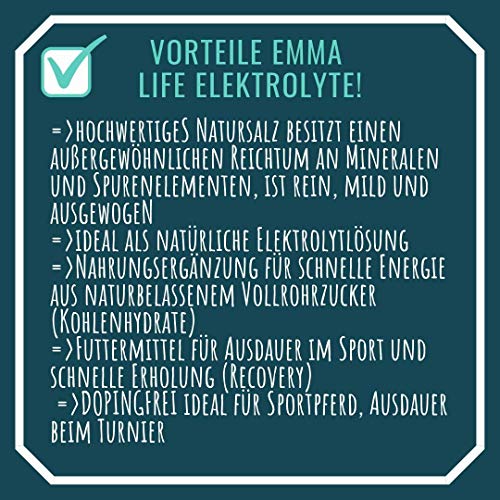 EMMA® Elektrolyte caballo I aminoácidos complejo I minerales sales vitaminas I 100% natural I minerales & oligoelementos I después de diarrea & sudar I Amino Energy Booster caballos 2,5 kg