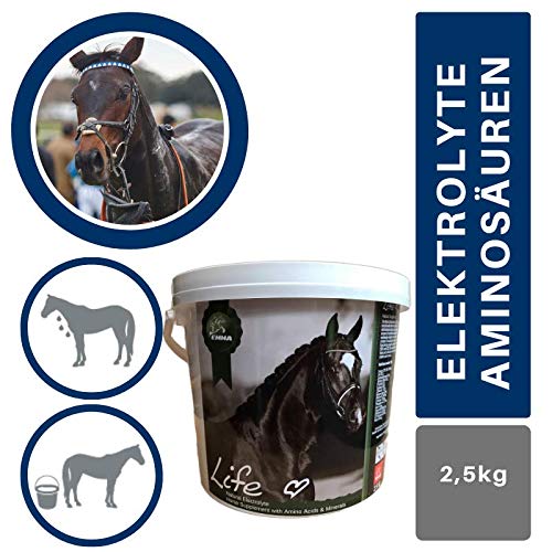 EMMA® Elektrolyte caballo I aminoácidos complejo I minerales sales vitaminas I 100% natural I minerales & oligoelementos I después de diarrea & sudar I Amino Energy Booster caballos 2,5 kg