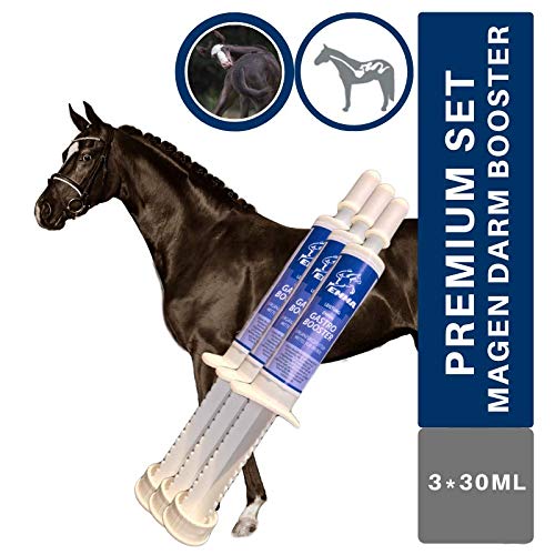 ♥EMMA Gastro Booster para caballos, alimento para caballos + levadura de cerveza, prebiótico I flora intestinal intacta, para energía Más vitaminas B, C, E, biotina, calcio, ácido fólico, zinc 1 pc