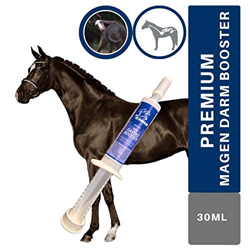 ♥EMMA Gastro Booster para caballos, alimento para caballos + levadura de cerveza, prebiótico I flora intestinal intacta, para energía Más vitaminas B, C, E, biotina, calcio, ácido fólico, zinc 1 pc