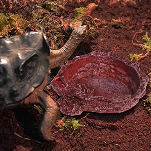 Exing Reptile - Cuenco para Comida Repelente de Mascotas, Cuenco de Agua para Comida y Comida