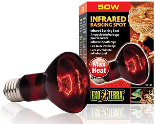 Exo Terra Infra-Rojo Nocturno Heat GLO, 50 W