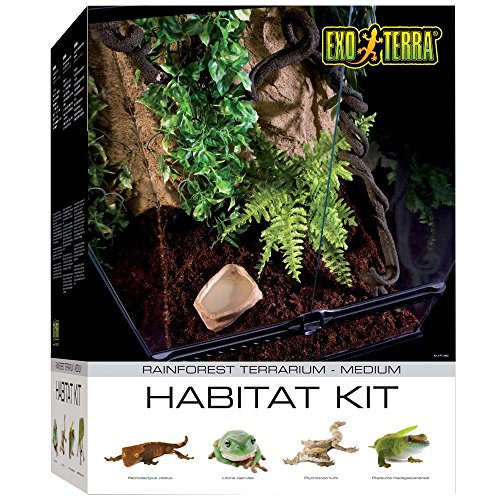 Exo Terra Kit Habitat Tropical Mediano de 120 L, 45 x 45 x 60 cm