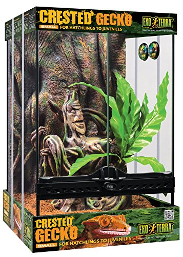 Exo Terra Kit Terrario Cresta Gecko Pequeño, 30 x 30 x 45 cm