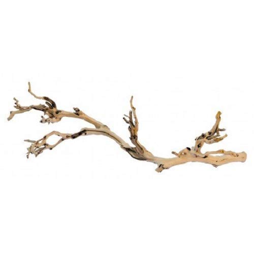 Exo Terra Planta con Base Forest Branch Grande, 60 cm