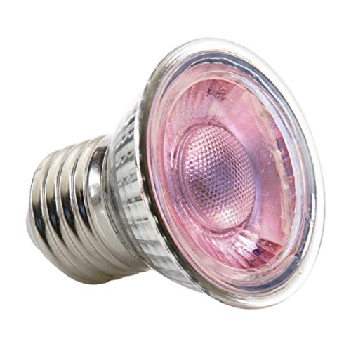 Exo Terra PT2342 Daylight Nano - Foco LED (5 W)