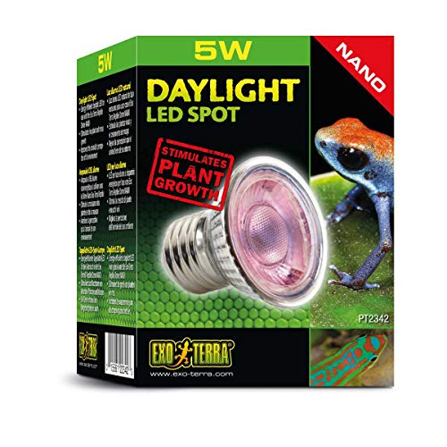 Exo Terra PT2342 Daylight Nano - Foco LED (5 W)