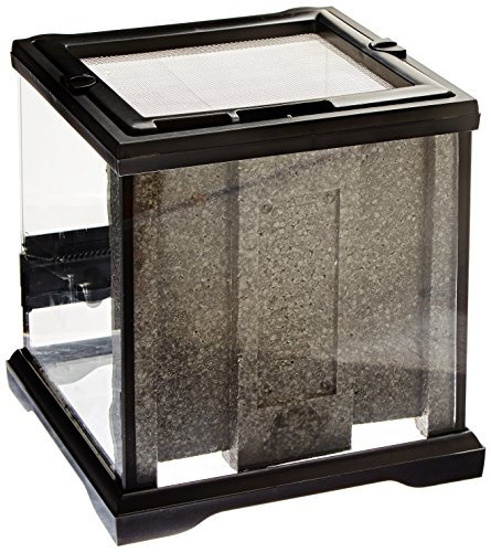 Exo Terra Terrario Nano Wide de 10,5 L,  22 x 22 x 22 cm