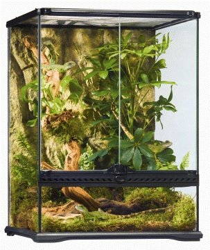 Exo Terra Terrario Pequeño Tall de 120 L, 45 x 45 x 60 cm