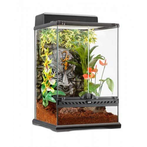 Exo Terra Terrario Tiki-Mini Tall, Multicolor, Small