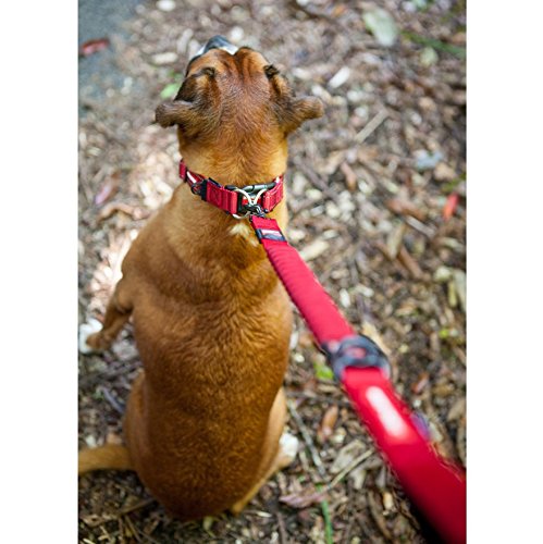 EzyDog Zero Shock Lite - Correa para Perro (48 Pulgadas), Color Chocolate