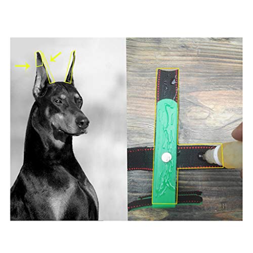 F Fityle 2pcs Corrector De Pegatina De Oreja De Perro Mascotas Oreja De Perro Levántese Doberman Pinscher Perro