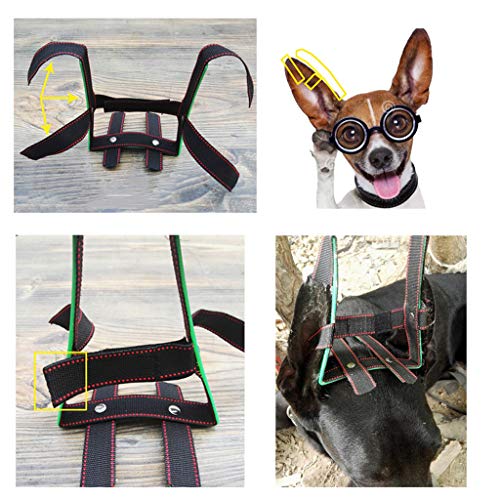 F Fityle 2pcs Corrector De Pegatina De Oreja De Perro Mascotas Oreja De Perro Levántese Doberman Pinscher Perro