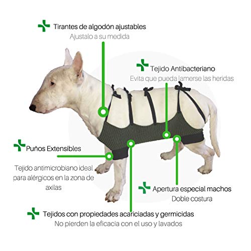 Faja Abdominal para Perros y Gatos, Talla M