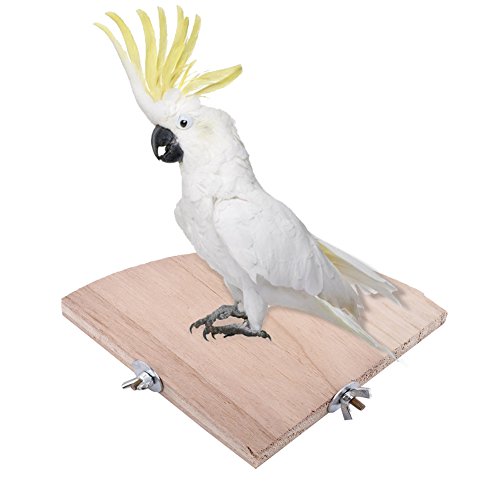 Fdit - Jaula de pájaros de madera con forma de abanico para perca, hámster, pequeño animal, juguete de Budgie