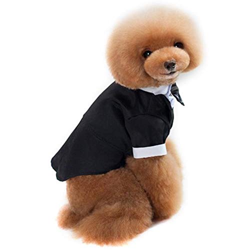 Fdit - Traje de novia para perro o mascota, traje de boda, para perro, para perro, para boda, cachorro, gato, decoración