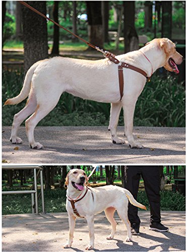 feiling Arnés para Perros Pequeño Mediano Grande Tamaño Duradero Antitirones Cuero Arnes Pecho Ajustable Step-In Arnes Cachorro Cómodo (XL, Blanco)