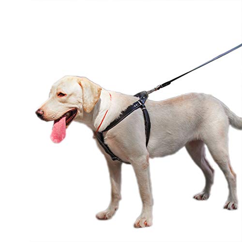 feiling Arnés para Perros Pequeño Mediano Grande Tamaño Duradero Antitirones Cuero Arnes Pecho Ajustable Step-In Arnes Cachorro Cómodo (XL, Negro)