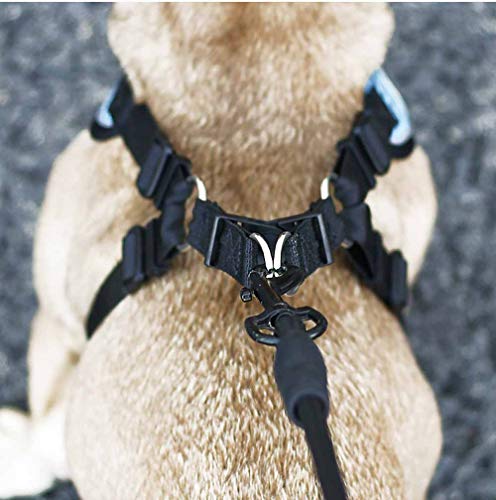 Feiling Arnés para perros pequeños y medianos para mascotas y gatos, ajustable con cuerda de 1,4 m, color azul