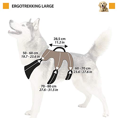 Ferplast Arnés ergonómico para Perros ERGOTREKKING P Large, 6 Cierres con microrregulación con Suave Acolchado, Reflectante, A: de 50 a 60 cm - B: de 70 a 80 cm - C: de 60 a 70 cm - L 28,5 cm Marrón