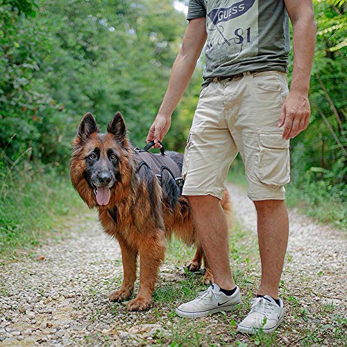 Ferplast Arnés ergonómico para Perros ERGOTREKKING P Large, 6 Cierres con microrregulación con Suave Acolchado, Reflectante, A: de 50 a 60 cm - B: de 70 a 80 cm - C: de 60 a 70 cm - L 28,5 cm Marrón