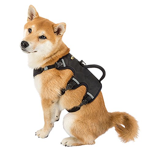 Ferplast Arnés ergonómico para Perros ERGOTREKKING P Medium, 6 Cierres con microrregulación con Suave Acolchado, Reflectante, A: de 37 a 47 cm - B: de 55 a 65 cm - C: de 50 a 60 cm - L 25 cm Negro