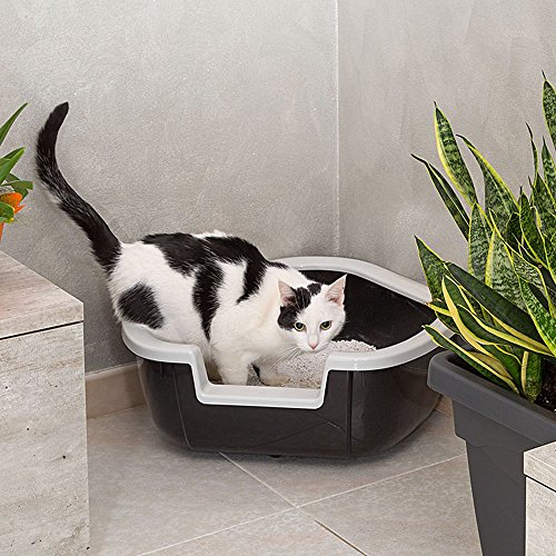 Ferplast Bandeja Sanitaria esquinera para Gatos Caja de Arena para Gatos Abierta Dama, Plástico, Bandeja de Recogida, Marco extraíble, 57,5 x 51,5 x h 22 cm Negro