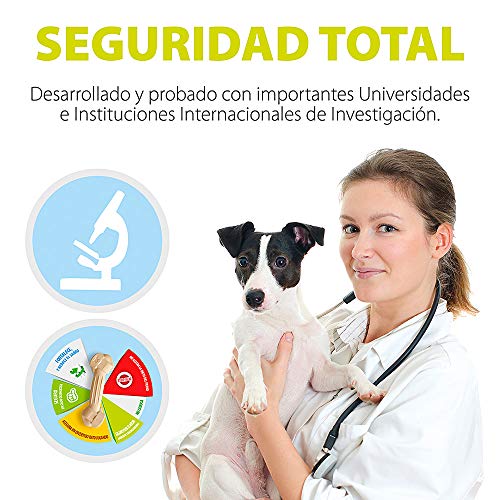 Ferplast GOODBITE NATURAL STICK - Juguete Palito para la Higiene Oral, Sabores Mixtos, Perro Medio-Pequeño (5-25 Kg), Natural, 8 Piezas de 9 g