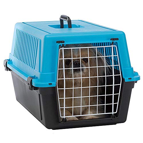 Ferplast Transportín rígido para Perros de Talla pequeña y Gatos Atlas 20 EL, Caja de Transporte para Animales, Puerta de Acero plastificado, Rejillas de ventilación, 37 x 58 x h 32 cm Azul Celeste