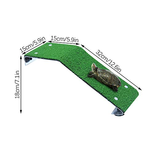 FJROnline Tortuga Simulación Plataforma de Secado de Gazón Plataforma Calefante Paisaje