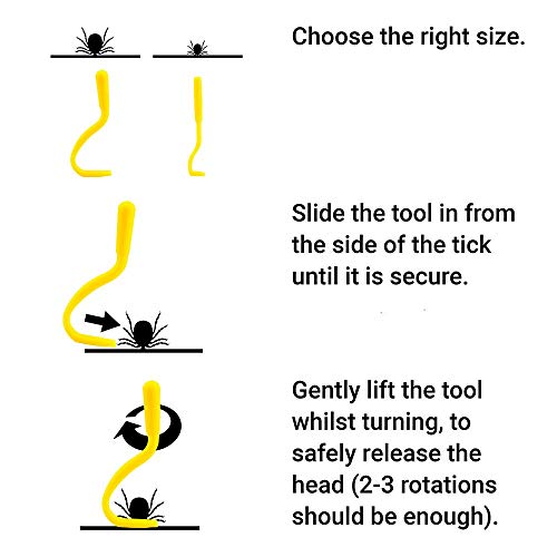 FLKS - Ganchos para eliminar garrapatas, inyección de abejas de la piel para animales humanos y otros animales, gatos, perros, caballos, vacas, ovejas (amarillo)