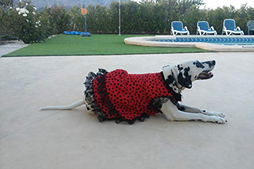 Folk Artesanía Vestido para Mascotas Flamenca o andaluza Lunares. Ideal para tu Perro. Fabricado en España (L)