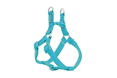 Freedog Arnés Perro Nylon Basic Tipo A Turquesa Talla 1