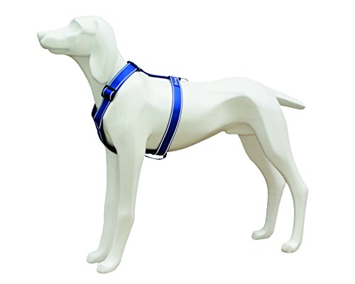 Freedog FD4002611 - Arnés Nylon Reflectante, para Perro, Color Azul