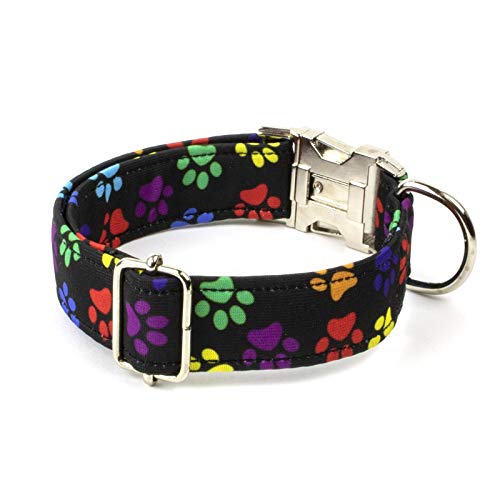 Galguita Amelie, 3cm Ancho Talla S (24cm - 40cm), Collar Clic para Perro. Huellas.