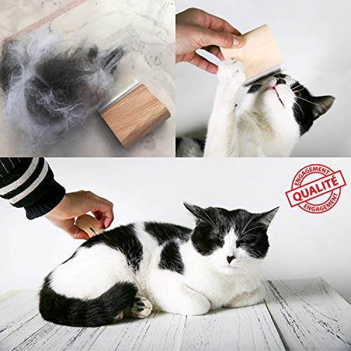 Générique Deshedding - Cepillo antipelos para Gatos y Perros, antimoho, Elimina el Pelo Muerto Corto y Largo, Peine mágico y antipelos, Herramienta de Aseo Pro PilpoilTM, Mango de Madera ergonómico