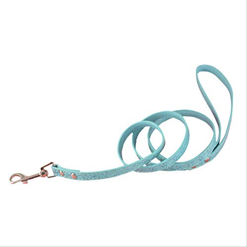 Genrics Perros Mascotas Cables y Correa Fuertes M Cocodrilo Azul