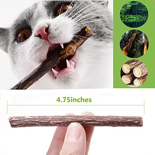 GingerUP palitos de Hierba gatera para Gato, Juguetes de Hierba gatera orgánicos Naturales Matatabi Silvervine Sticks Dental Treats Dientes Grinding Chew Toys, Paquete de 30 Unidades