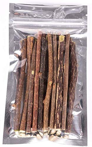 GingerUP palitos de Hierba gatera para Gato, Juguetes de Hierba gatera orgánicos Naturales Matatabi Silvervine Sticks Dental Treats Dientes Grinding Chew Toys, Paquete de 30 Unidades